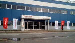 Rostlina Ariston