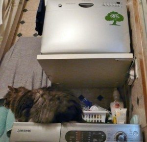 myčka nádobí electrolux